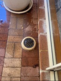 Blocked drains in Butler